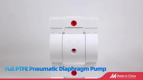 Pompa pneumatica per inchiostro a doppia via da 38 l/min
