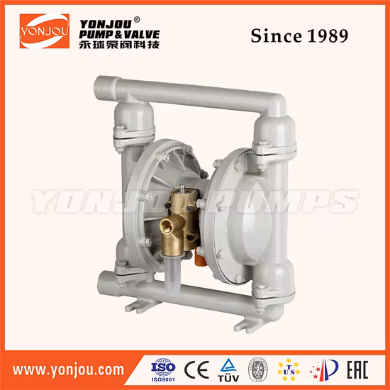 Pompa a membrana con funzionamento ad aria per cioccolato